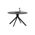 Table à manger ronde design 120cm bois noir SIDE - Woood