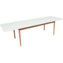 Table scandinave 140x80x75-LIA