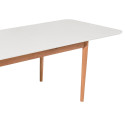 Table scandinave 140x80x75-LIA