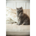 Fauteuil 3 places velours-LINA