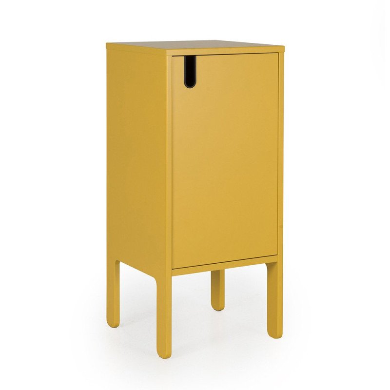 Petite armoire 1 porte-DINA