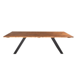 Table de jardin 250x100cm en bois pieds métal VELICA