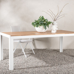 Table de jardin moderne 200x100cm en bois et alu ROSAFA