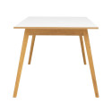 Table à manger rectangle scandinave-ZENIO-TR