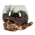 Pot décoratif en verre et bois MARIANO